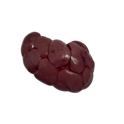 Kidney 5kg