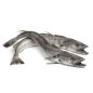 Hake Fish 1kg