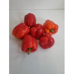 Fresh Red Cap Pepper