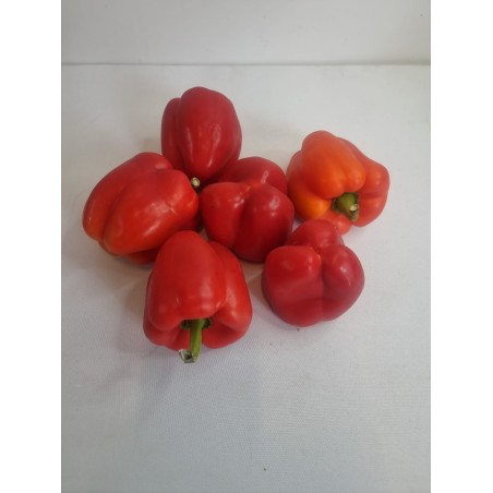 Fresh Red Cap Pepper