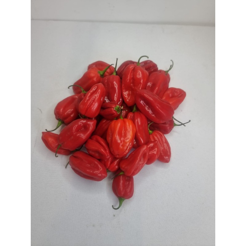 Fresh Scotch Bonnet Peppers 1kg