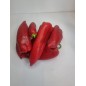 Fresh Long Cap Pepper 1kg