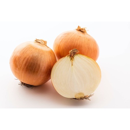 Fresh Whote Onions 4Kg