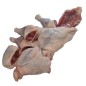 Frozen Chicken - Hard Frozen Chicken - Hard