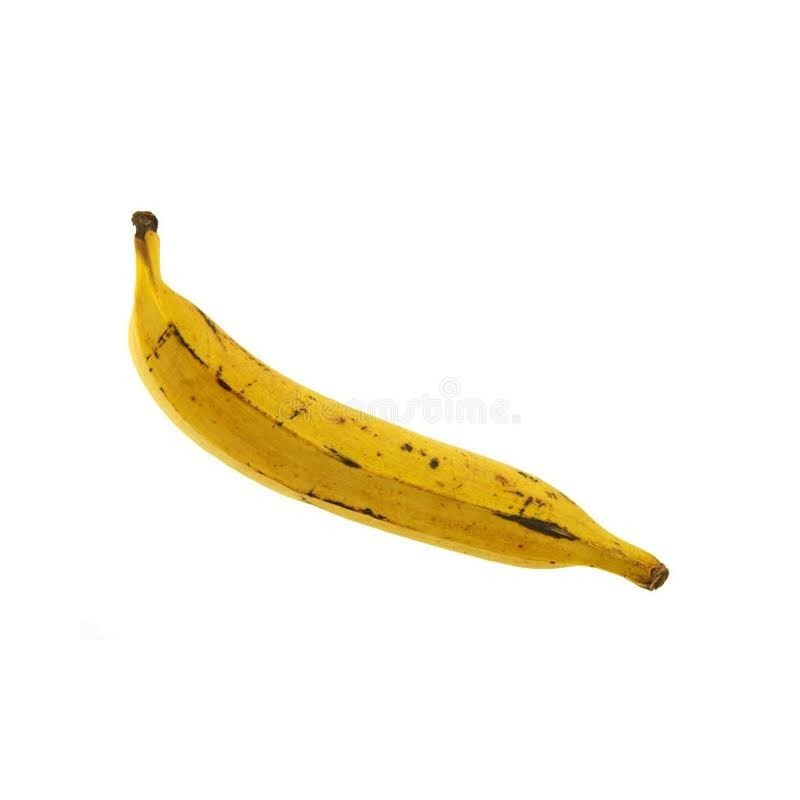 1 Yellow Plantain