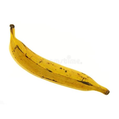 1 Yellow Plantain