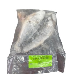 Sea Bass Fish