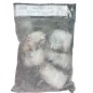 Frozen Pangasius Steaks